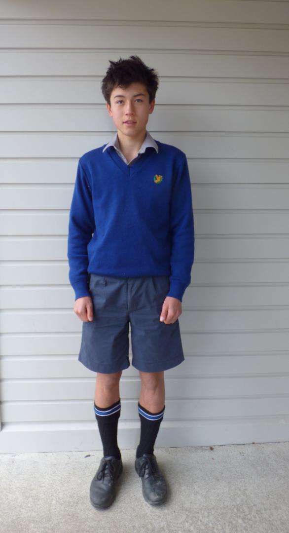 Школьная форма для мальчиков шорты